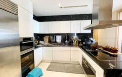 The Ritz-Carlton  (D9), Condominium #455333471